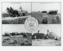 [Farming in Manitoba]