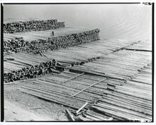 [Saskatchewan-owned lumber mill, Canoe, B.C.]