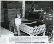 Saskatchewan-owned lumber mill, Canoe, B.C.