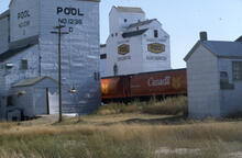 Shaunavon