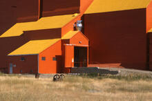 Shaunavon