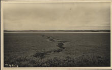 [Feature in a field at Melfort Research Farm]