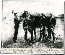 Fort Walsh