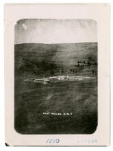 Fort Walsh