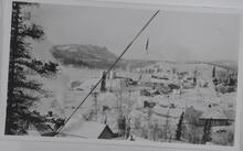 [Goldfields in winter]