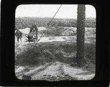 Threshing in Egypt