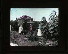 A fine farm garden