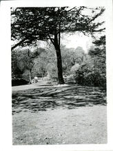 Princess Street Garden