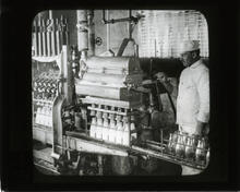 Filling and stopping twelve milk bottles at once, Fairfield Dairy, N.J.