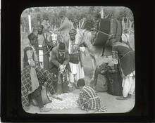 Purchasing cocoons for export, Syria, Asia