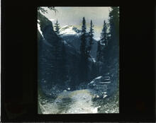 On the way to Lake Agnes