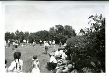Picnic - Forestry Farm
