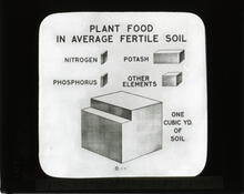Plant food in average fertile soil