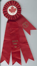 Shaunavon Rodeo 1985 1st place ribbon