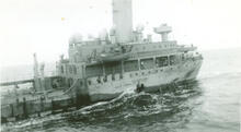 Alan R. Bells