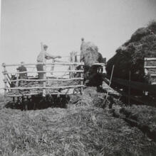Gabriel Nagy's Farm Threshing Stockholm