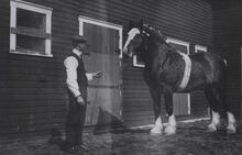 Mac Thornton with "Lord Arnott"