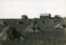 Farm near Moose Jaw with Wheat in Stacks
