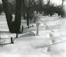 Crescent Park in Winter