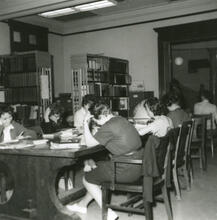 Students Working in Library