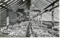 Greenhouse, Moose Jaw Nursery