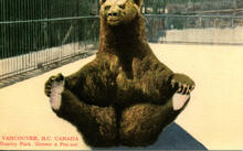 Vancouver, B.C. Canada, Stanley Park, Gimme a Pea-nut