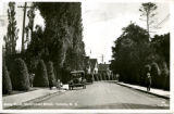 Along South Government Street, Victoria, B.C.