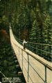 Suspension Bridge, 1st Canyon Capilano, North Vancouver, B.C.