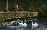 the Swans, Stanley Park, Vancouver, B.C.