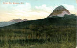 Crows Nest, Mountain, B.C.