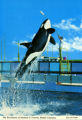 The excitement of Sealand in Victoria, British Columbia