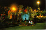 Rose Garden - Illuminated. The Butchart Gardens, Victoria, B.C.