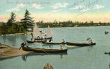 Scene Among the 1000 Islands