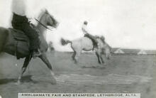 Amalgamate Fair and Stampede, Lethbridge, Alta.
