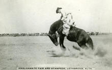 Amalgamate Fair and Stampede, Lethbridge, Alta.