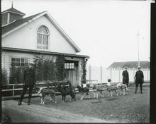 [N.W.M.P. officers with dog team]