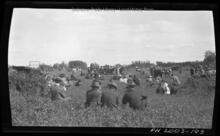 People socializing in a park