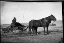 Horse-drawn wagon and driver