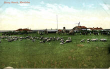 Sheep Ranch, Manitoba