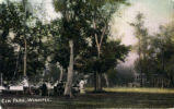 Elm Park, Winnipeg