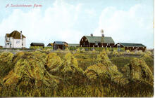 A Saskatchewan Farm