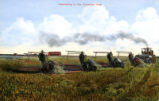 Harvesting in the Canadian West