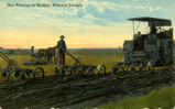 Disc Plowing on Stubble, Western Canada