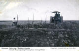 Summer Fallowing, Western Canada. Rumely Engine pulling 28 disc plows, turning 20 feet.