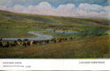 Ranching Scene. Canadian Northwest