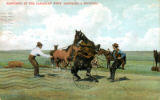 Ranching in the Canadian West. Saddling a Broncho