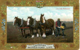 A Little Refresher. Canadian Homestad Life.