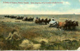 A Battery of Reapers, Western Canada. Scene along line of the Canadian Pacific Railway.