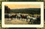 On a Stock Farm in Western Canada