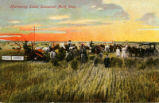 Harvesting Scene, Canadian North West.
